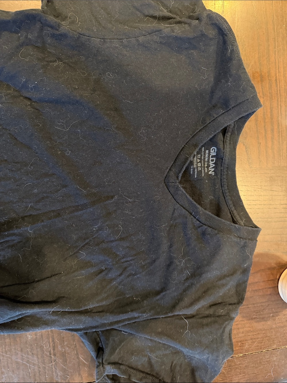 Gildan Black V-Neck T-Shirt with Pet Hair